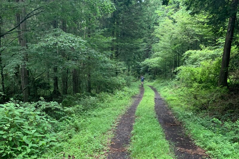 富士山西グラベルスポット