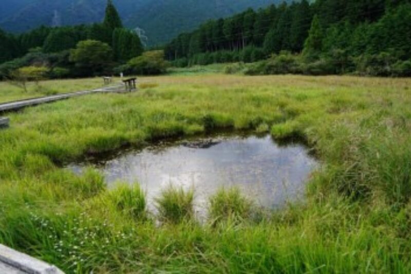 小田貫湿原